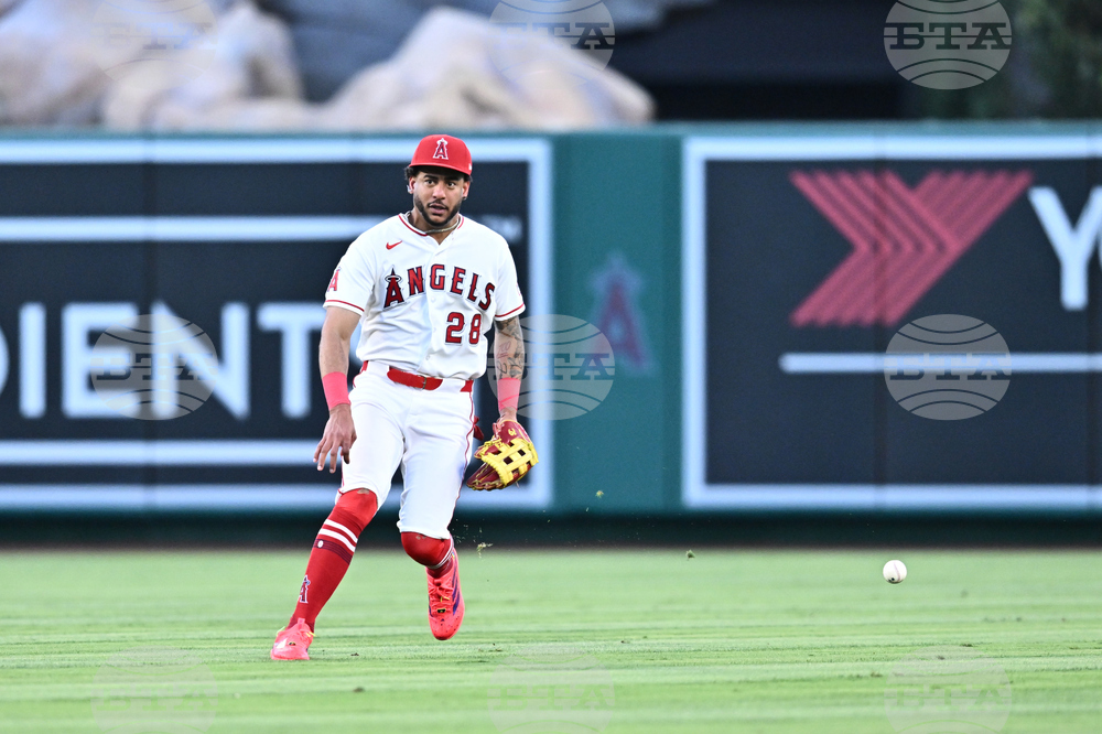 Red Sox Angels Baseball