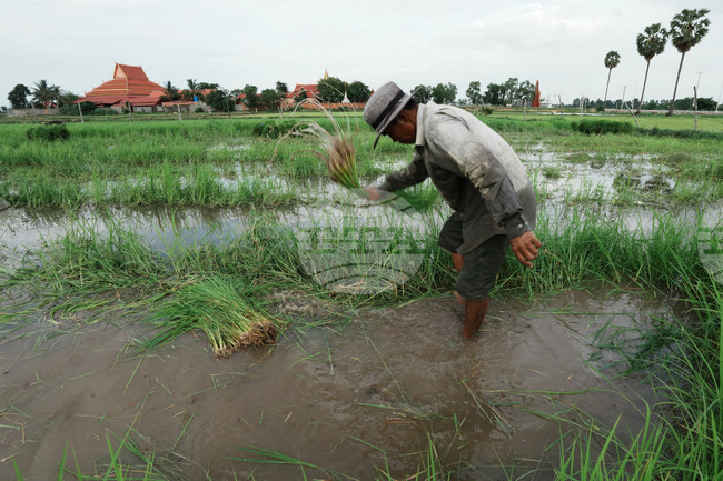 Cambodia Daily Life