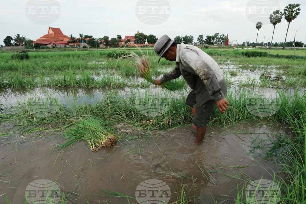 Cambodia Daily Life