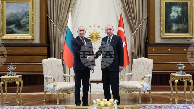 Bulgarian PM Meets Turkish President in Ankara, Sides Agree to Suspend Bilateral Gas Supply Agreement