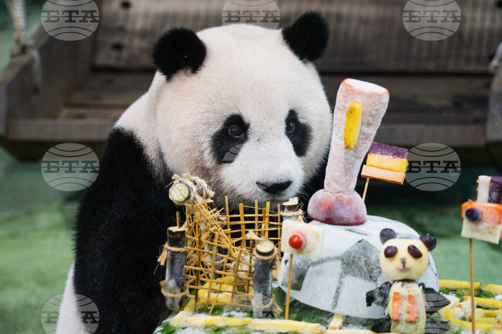 Taiwan Panda World Cup