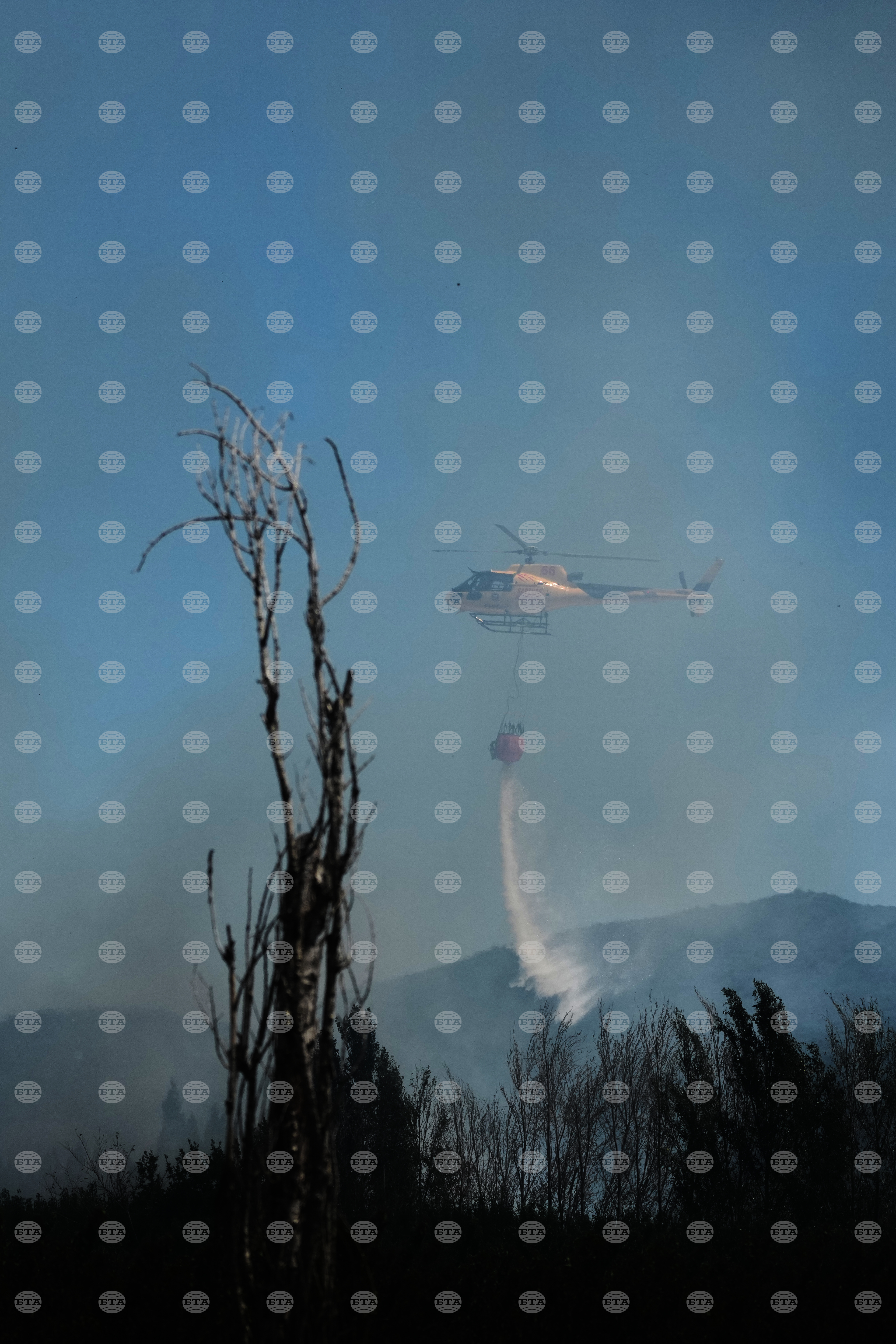France Wildfires