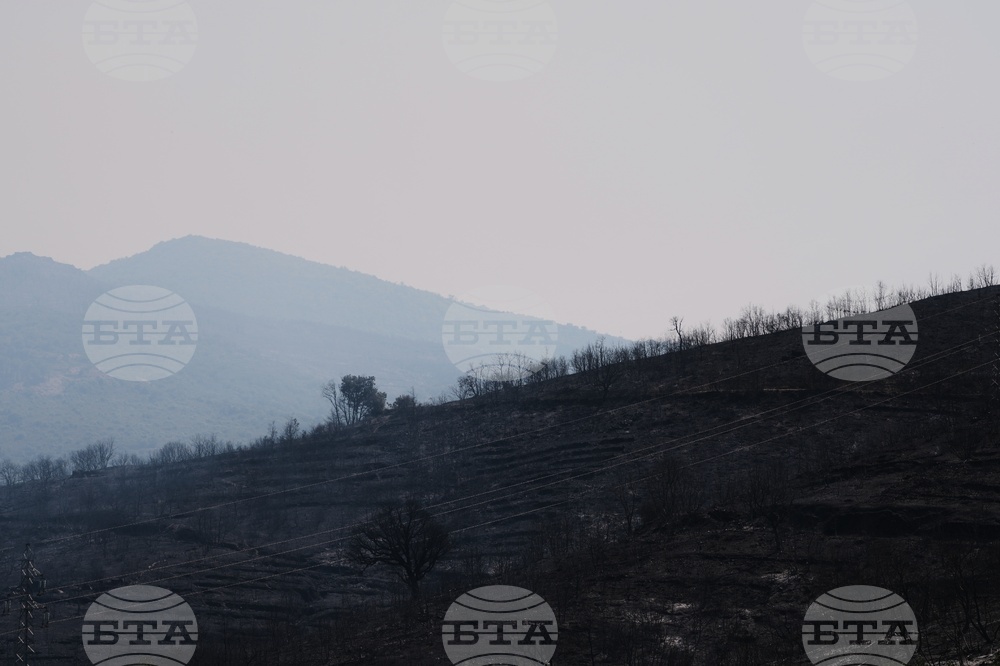 France Wildfires