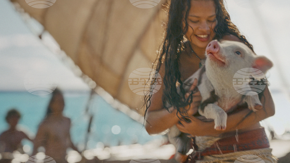 Film Review - Moana