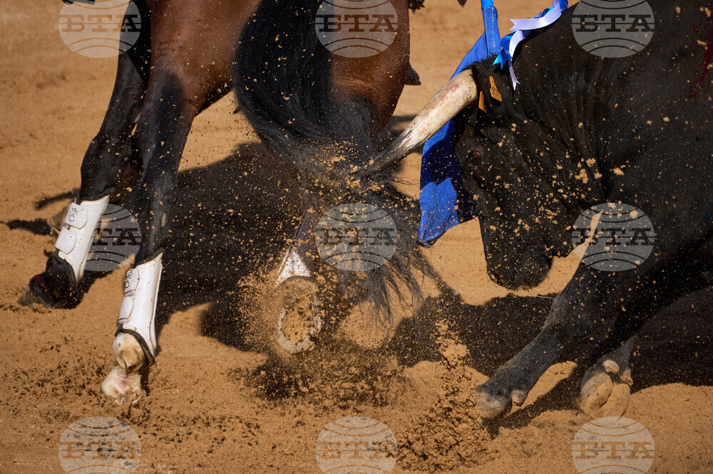 Spain Running of the Bulls