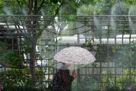 South Korea Extreme Weather Heat
