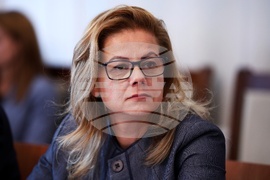 Народно събрание - Комисия по отбрана