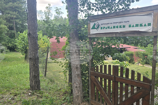 Камери на две панорамни площадки във Врачанския балкан показват метеорологичната обстановка в реално време