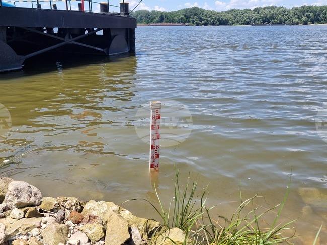 Low Danube Levels Disrupt Shipping in Bulgarian Section