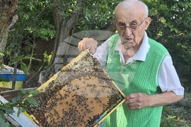 Село Каленик - най-възрастен пчелар - празник на пчеларите