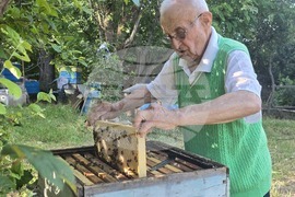 Село Каленик - най-възрастен пчелар - празник на пчеларите