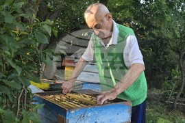 Село Каленик - най-възрастен пчелар - празник на пчеларите