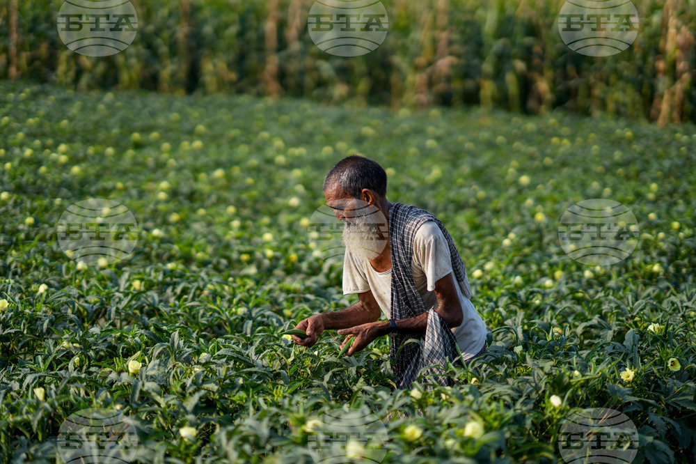 India Agriculture