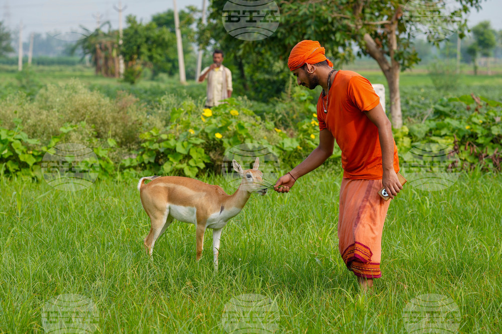 India Daily Life