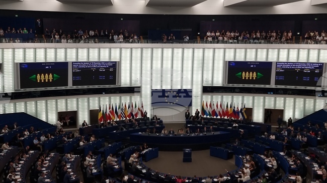Европейският парламент взе решение да провери дали партията "Европа на суверенните нации" спазва основополагащите ценности на ЕС