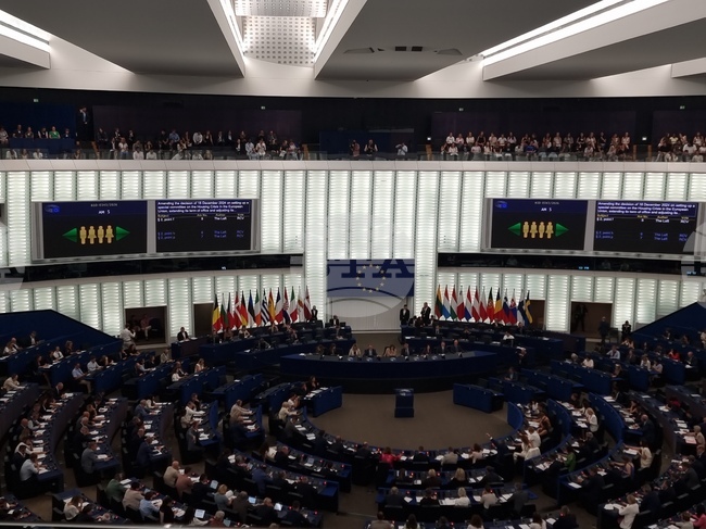 Европейският парламент взе решение да провери дали партията "Европа на суверенните нации" спазва основополагащите ценности на ЕС
