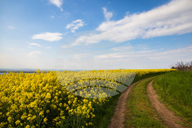 Бургас - рапицови полета - цъфтеж