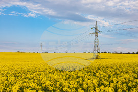 Бургас - рапицови полета - цъфтеж