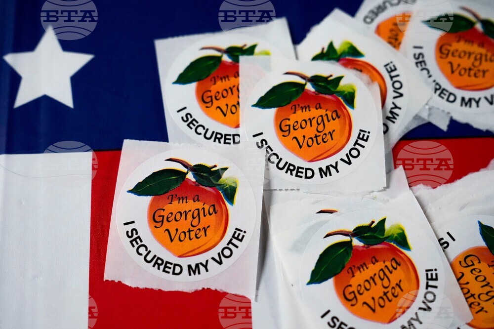 Georgia Elections Investigation