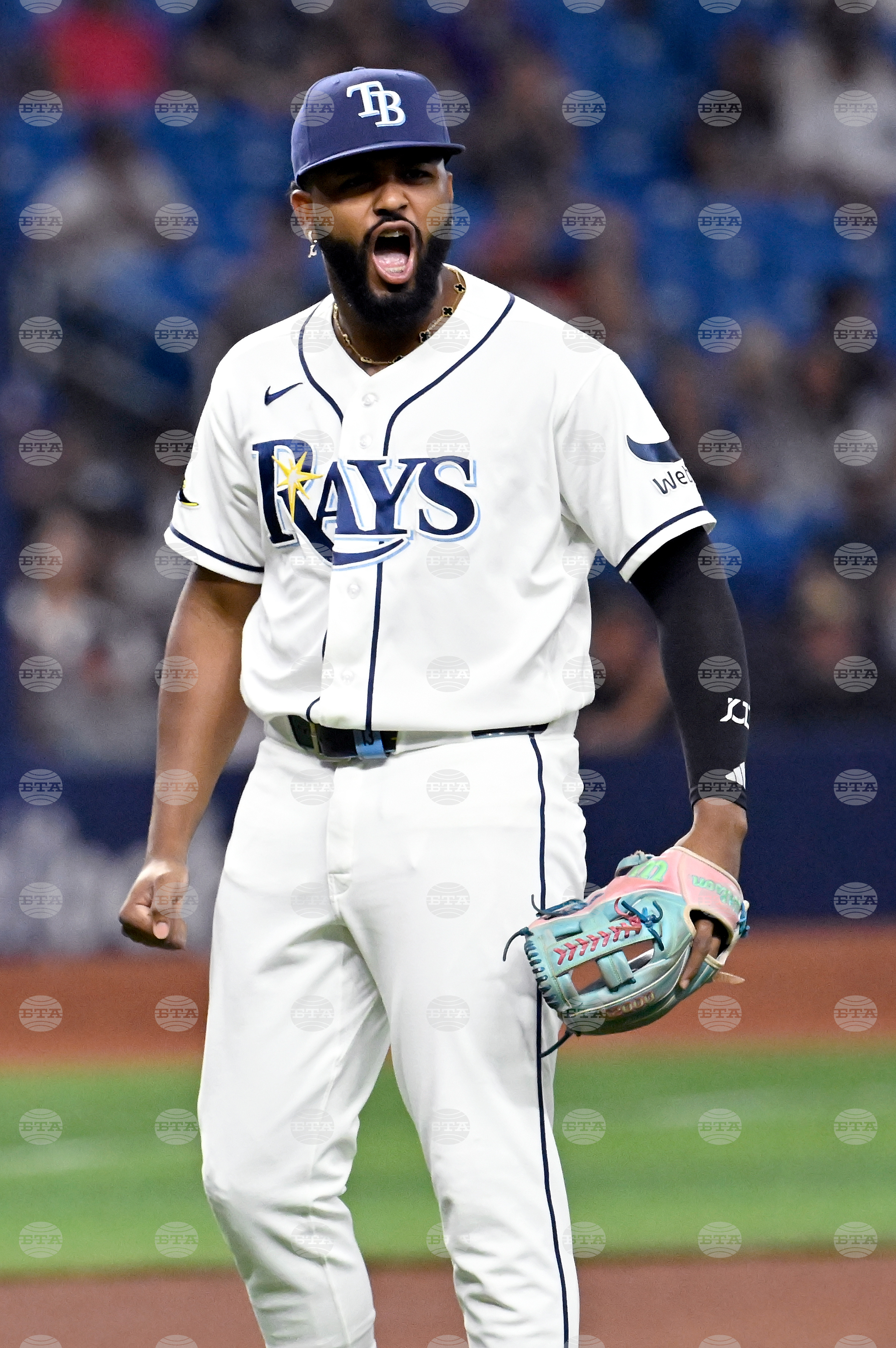 Yankees Rays Baseball