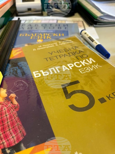 Очакванията ни са за начало на устойчив диалог между българските институции и българските училища в чужбина, каза пред БТА Зорница Гоган