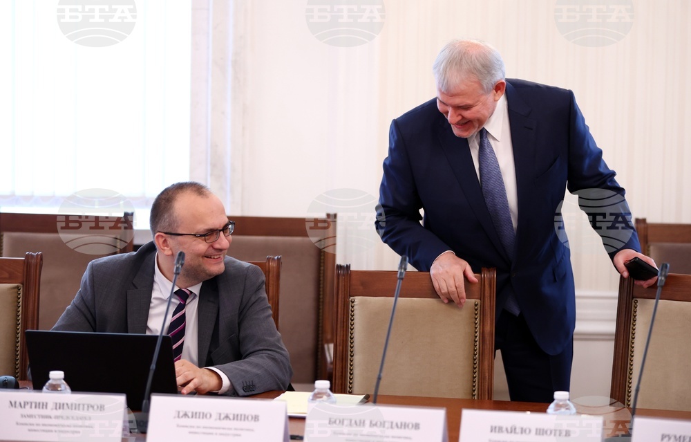 Народно събрание - Комисия по икономическа политика, инвестиции и индустрия
