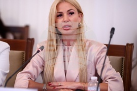 Народно събрание - Комисия по икономическа политика, инвестиции и индустрия