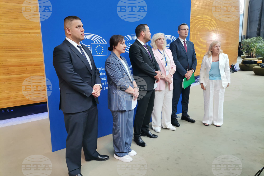 Франция - Страсбург - Движение за права и свободи - брифинг