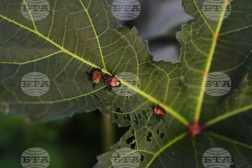 Climate Heat Specialty Crop Farms