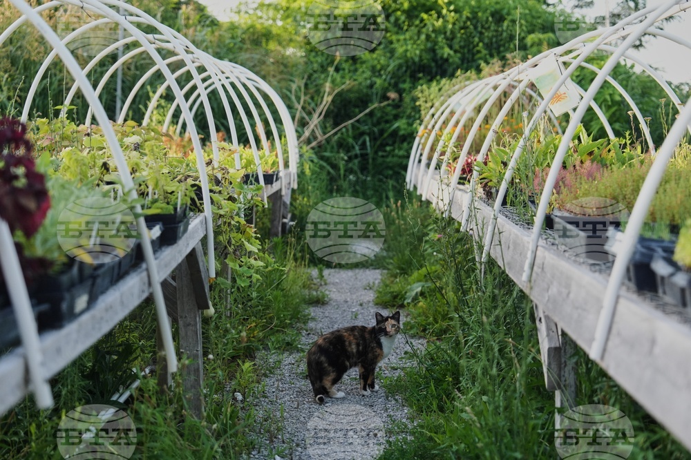 Climate Heat Specialty Crop Farms