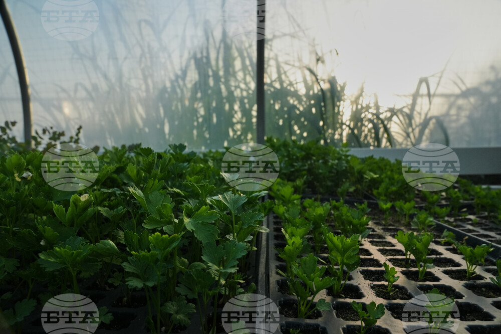 Climate Heat Specialty Crop Farms