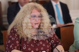 Народно събрание - Комисия по външна политика - заседание