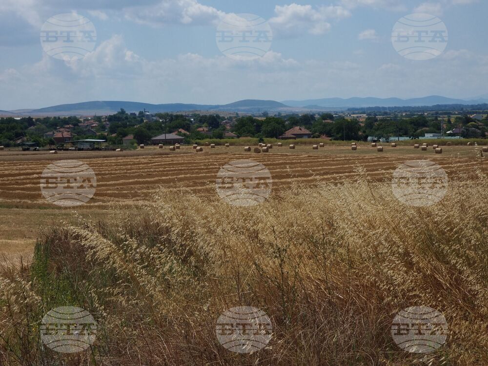 Село Дражево - лято - проект „България в четири сезона“