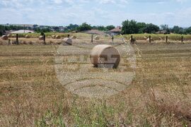 Село Дражево - лято - проект „България в четири сезона“