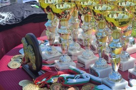 Ямбол - каракачански кучета - 41-ва национална киноложка изложба