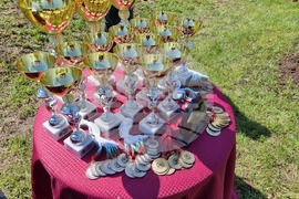 Ямбол - каракачански кучета - 41-ва национална киноложка изложба