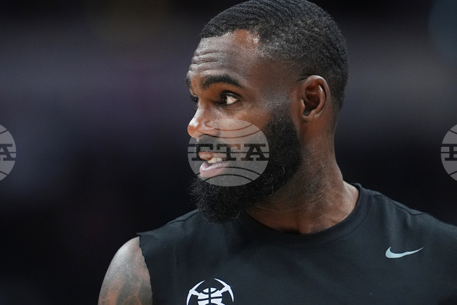 Heat Hardaway Basketball