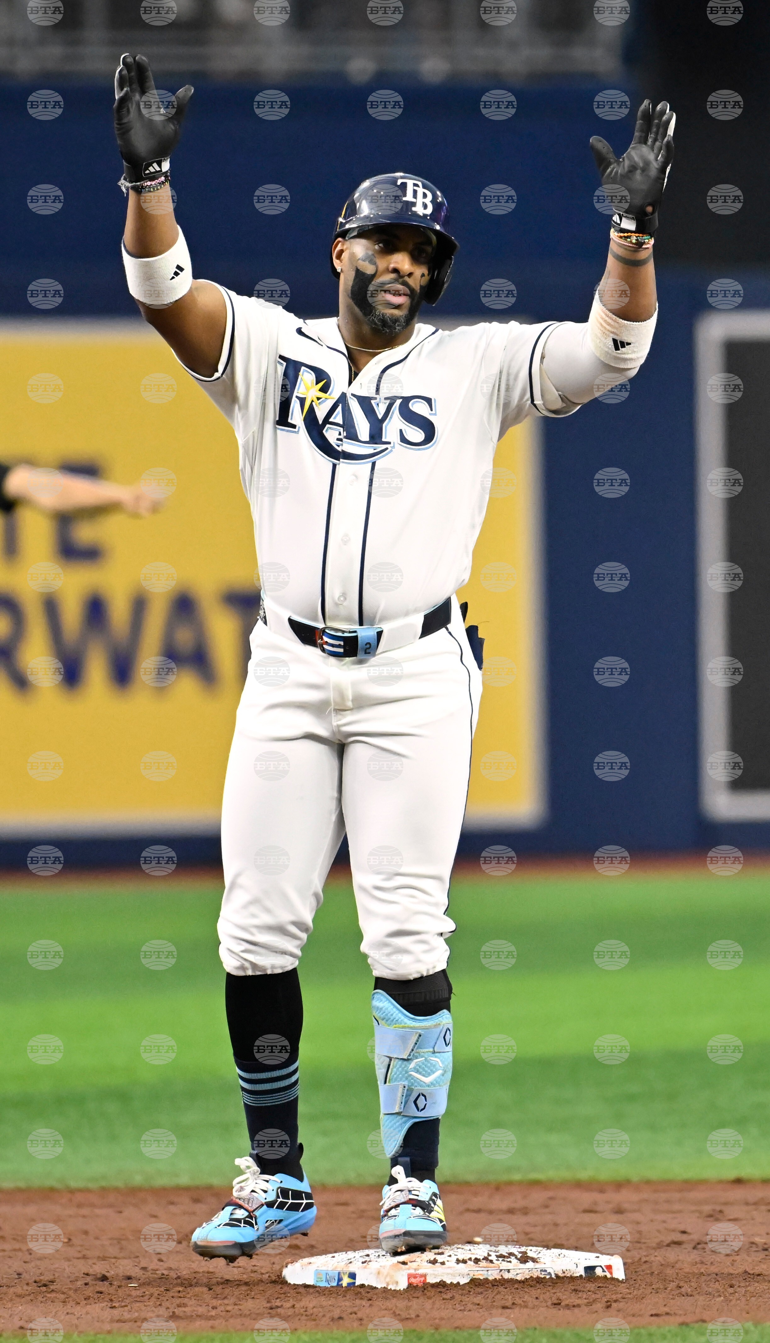 Yankees Rays Baseball