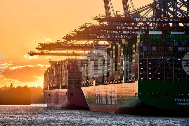 Germany Economy