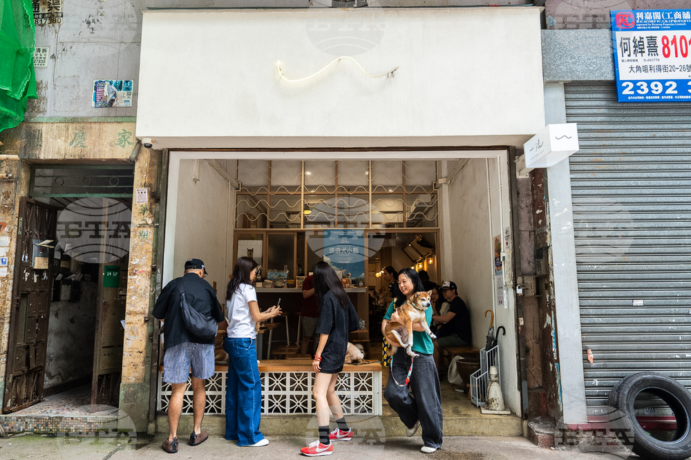 Hong Kong Dogs In Restaurants