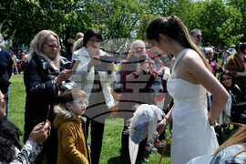 Бургас - изложение за цветя - Петер Пенцел - демонстрация