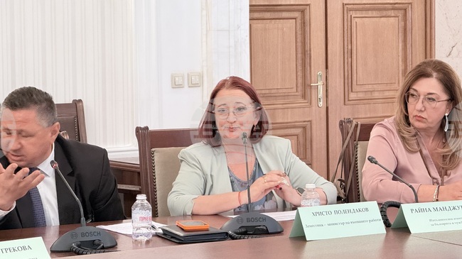 За реалната дейност на Агенцията остават около 15 хил. евро на месец, каза директорът на Агенцията за българите в чужбина Райна Манджукова