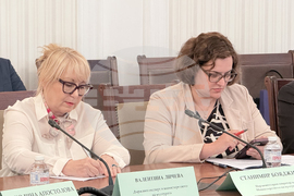 Народно събрание - Комисия по политиките за българите извън страната - заседание