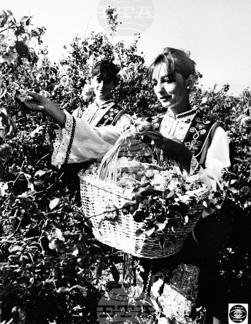 Световен ден на побратимените градове