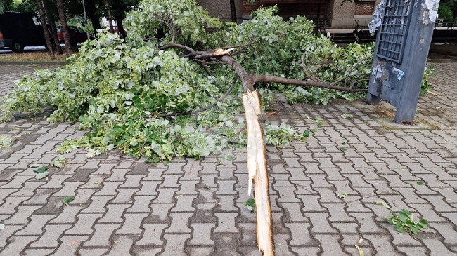 Силен дъжд и буря нанесоха материални щети в Стара Загора