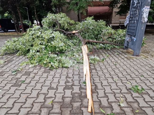 Силен дъжд и буря нанесоха материални щети в Стара Загора