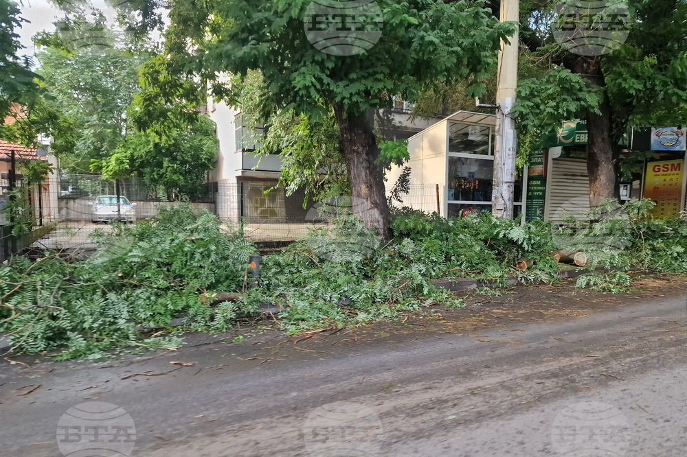 Стара Загора - буря - паднали дървета