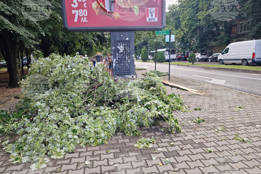 Стара Загора - буря - паднали дървета