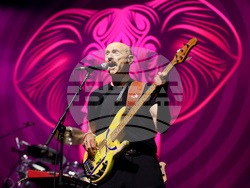 Национален дворец на културата - BEAT: King Crimson Celebration Show - концерт