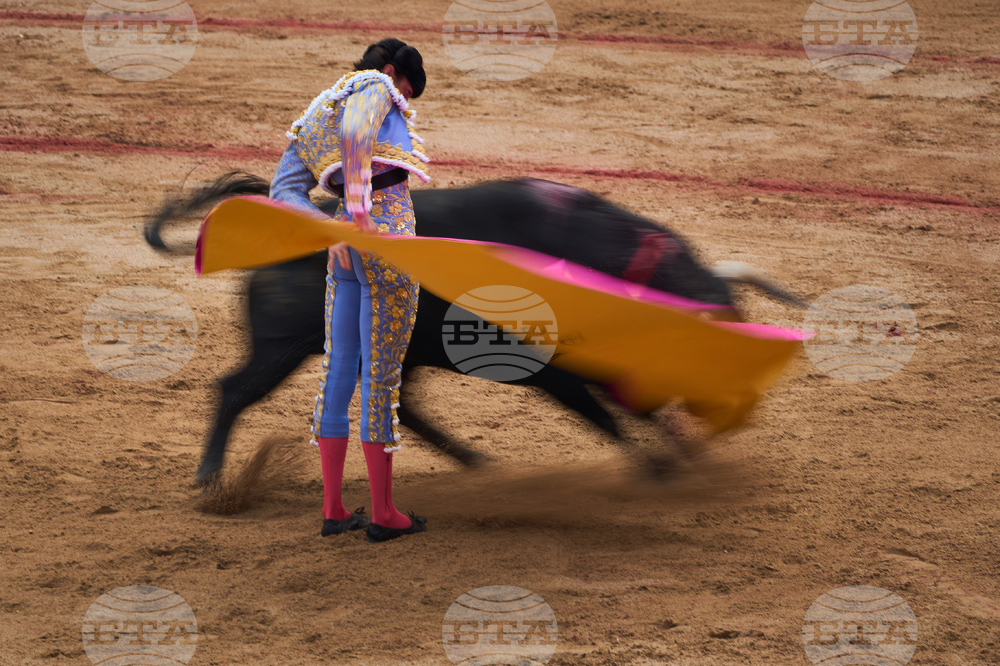 Spain Running of the Bulls